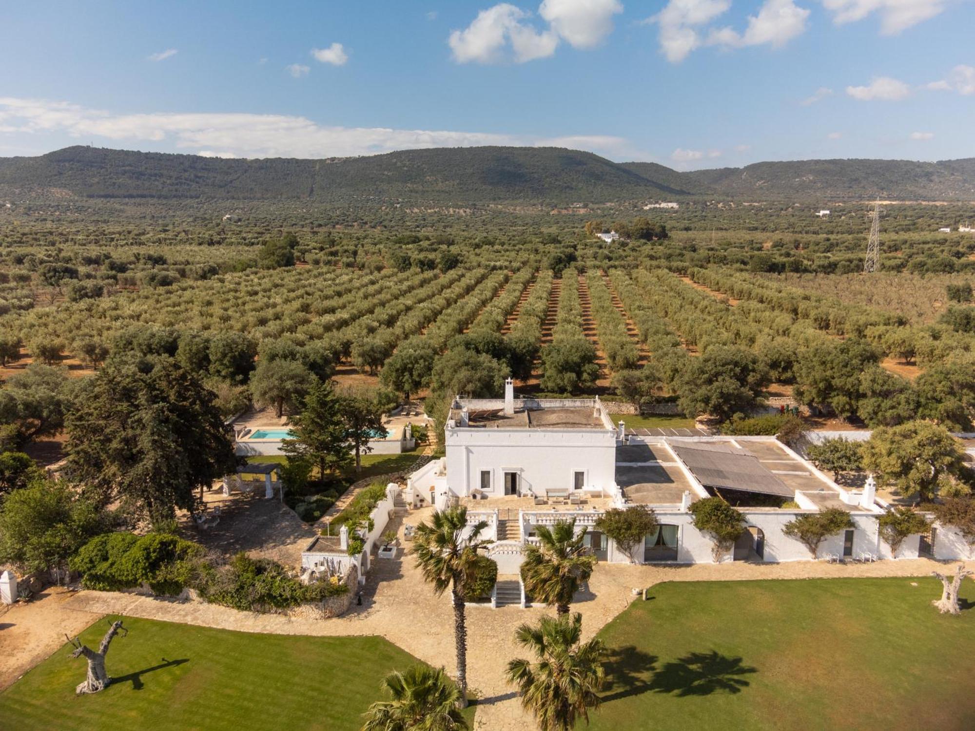 Masseria Eccellenza Pezze Di Greco Exteriör bild